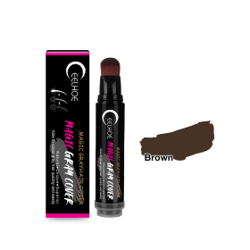 EELHOE Disposable Plant Hair Salon Root Touch Up Hair Chalk Hair Dye Pen For Roots, Haircolor Touch-Up Stick To Cover Gray Hair Root For Man And (Color: BROWN)